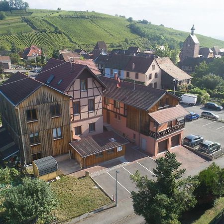 Pinot Gris - Charmant Studio Au Coeur Du Vignoble - Parking Gratuit Riquewihr Kültér fotó