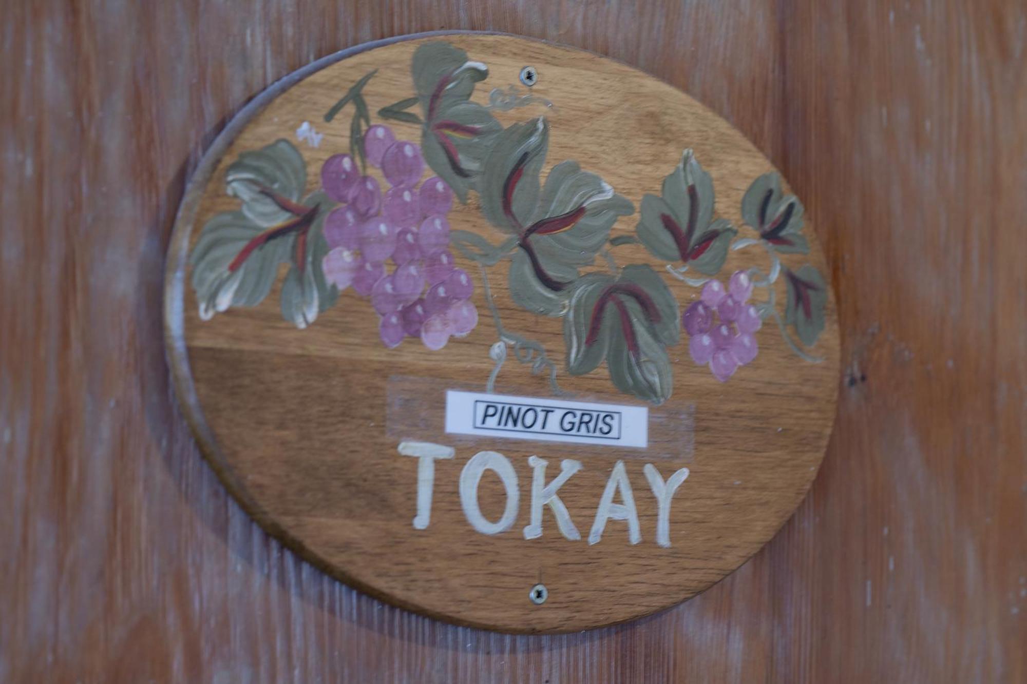 Pinot Gris - Charmant Studio Au Coeur Du Vignoble - Parking Gratuit Riquewihr Kültér fotó