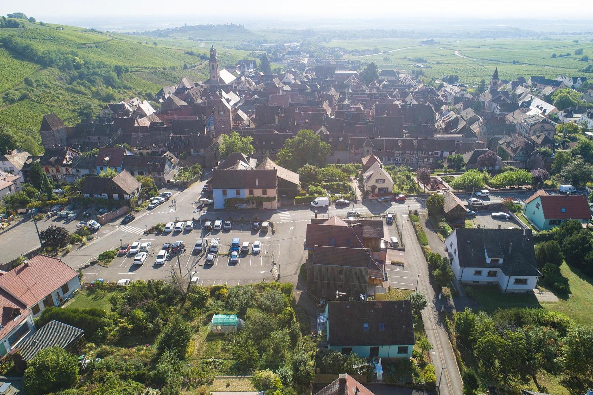 Pinot Gris - Charmant Studio Au Coeur Du Vignoble - Parking Gratuit Riquewihr Kültér fotó